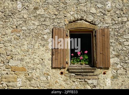 Fenêtre avec fleurs de géranium rose et volets en bois ouverts dans un mur en pierre. Dans le hameau de la Chaudière, dans la région Rhône-Alpes de France. Banque D'Images