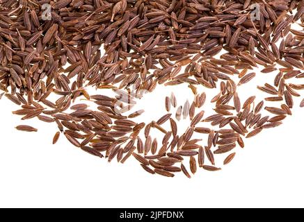 Le cumin est une plante à fleurs, l'aluminium-cyminum, de la famille des Apiaceae, originaire de la région Irano-Turanie. Les graines sont utilisées dans les cuisines de nombreux cultu Banque D'Images