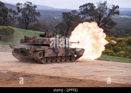 Puckapunyal, Australie. 5th août 2022. Un char d'Abrams s'enflamme lors d'une démonstration de puissance de feu de l'armée pour les clients et les familles à Puckapunyal Range dans le Victoria. L'armée australienne a présenté une exposition de puissance de feu pour les clients et les familles à Puckapunyal Range, en Australie. L'exposition comprenait des chars d'Adrams et de l'artillerie en train d'être tirés sur des cibles mobiles et fixes. Environ 400 personnes ont assisté à l'événement, des enfants de l'école primaire locale aux grands-parents de soldats. (Image de crédit : © Michael Currie/SOPA Images via ZUMA Press Wire) Banque D'Images