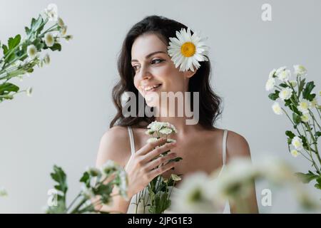 Bonne femme brune avec camomille dans les cheveux debout près de fleurs floues isolées sur gris Banque D'Images