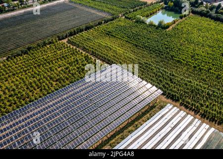 Installation d'essai Agri-photovoltaïque, un verger de pommes a été couvert de deux systèmes différents de modules PV sur une superficie de plus de 3000 mètres carrés, rai Banque D'Images