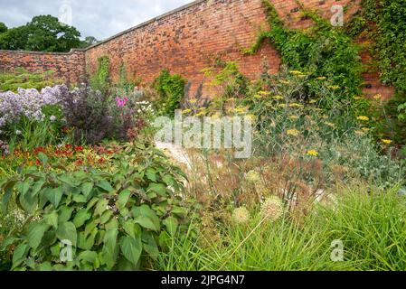 Bordure herbacée incluant une usine de fenouil en bronze dans le jardin clos de RHS Bridgewater, Grand Manchester, Angleterre. Banque D'Images