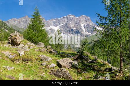 La Punta Gnifetti ou Signalkuppe, Parrotspitze, Ludwigshohe, Piramide Vincent Peaks - vallée de la Valsie. Banque D'Images