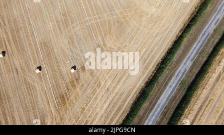 Vue aérienne des balles de foin dans le champ de l'agriculteur Banque D'Images