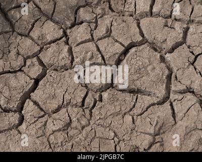 le sol sombre a séché avec beaucoup de texture d'un lac séché Banque D'Images
