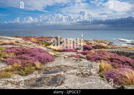 mer du nord, lande, jardin pointu, käringön, västra götalands län, mer du nord, haines, schärengartens Banque D'Images