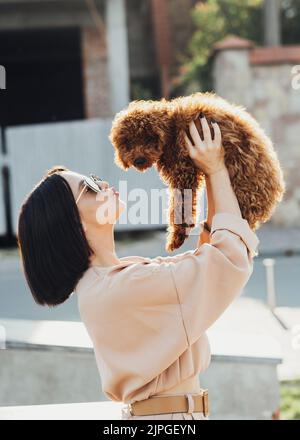 Jeune femme brune est une heureuse propriétaire de chien tête rouge jouet coolé, fille adulte tenant les mains son quatre pattes animal Banque D'Images