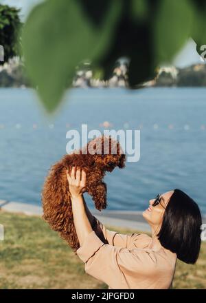 Jeune femme brune est une heureuse propriétaire de chien tête rouge jouet coolé, fille adulte tenant les mains son quatre pattes animal Banque D'Images