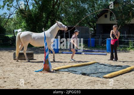 Démonstration de la Horsemantation avec la corde à sauter à cheval lors du concours de tir à l'arc à cheval à Limpach, Luxembourg, le 2nd juillet 2022 Banque D'Images