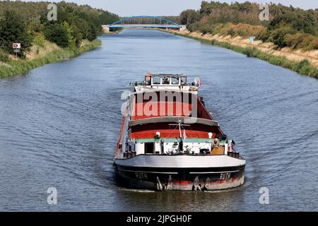 12 août 2022, Saxe-Anhalt, Burg: Le bateau-poussoir Ruth est en cours sur le canal Mittelland près de Burg. Malgré la chaleur et la sécheresse, les canaux maintiennent leur niveau d'eau et sont donc une bonne alternative à la navigation fluviale. Photo: Peter Gercke/dpa Banque D'Images