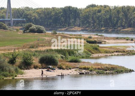 12 août 2022, Saxe-Anhalt, Schönebeck: Les personnes se baignant dans les gronnes de l'Elbe près de Schönebeck. Photo: Peter Gercke/dpa Banque D'Images