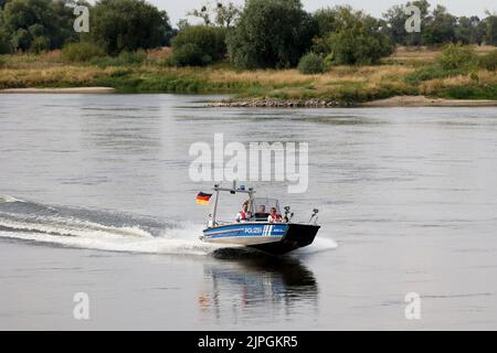 12 août 2022, Saxe-Anhalt, Schönebeck : un bateau de la police des eaux (WSP 31) navigue en amont sur l'Elbe près de Schönebeck. Malgré un manque d'eau et un manque partiel de navigation, les policiers patrouillent. Photo: Peter Gercke/dpa Banque D'Images