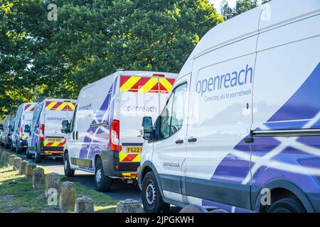 OpenReach, BT Vans alignés dans un parking Banque D'Images