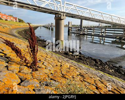 (220818) -- AMSTERDAM, le 18 août 2022 (Xinhua) -- la photo prise le 15 août 2022 montre une section de l'Afsluitdijk, un barrage qui sépare le lac Ijsselmeer de la mer des Wadden, aux pays-Bas. La poursuite de la sécheresse aux pays-Bas a rendu de plus en plus difficile la réponse à la demande néerlandaise d'eau dans de plus en plus de régions, malgré les précipitations actuelles et les mesures d'économie d'eau du gouvernement. Comme l'une des mesures de secours à la sécheresse, les portes de la coulée d'Afsluitdijk ont été fermées pour maintenir le niveau d'eau de l'Ijsselmeer, le plus grand lac du pays, aussi haut que possible depuis une largue Banque D'Images