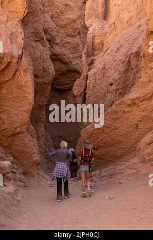 Deux touristes qui font de la randonnée dans le canyon Devil's gorge, transportant leurs deux enfants dans des sacs à dos. Désert d'Atacama, Chili. Un autre randonneur marche avec Banque D'Images