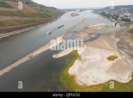 Bingen, Allemagne. 18th août 2022. Le niveau d'eau du Rhin au Mäuseturm à Bingen est encore extrêmement bas. Si les précipitations espérés continuent à échouer, la navigation intérieure pourrait s'arrêter. Crédit : Boris Roessler/dpa/Alay Live News Banque D'Images