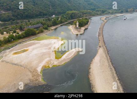 Bingen, Allemagne. 18th août 2022. Le niveau d'eau du Rhin au Mäuseturm à Bingen est encore extrêmement bas. Si les précipitations espérés continuent à échouer, la navigation intérieure pourrait s'arrêter. Crédit : Boris Roessler/dpa/Alay Live News Banque D'Images