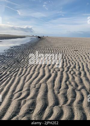 plage, côte, mer du nord, plages, bord de mer, côtes, mer du nord Banque D'Images