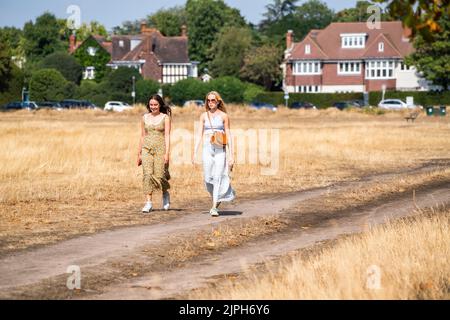 Wimbledon Londres, Royaume-Uni. 18 août 2022 . Deux femmes bénéficiant du soleil de l'après-midi sur un Wimbledon Common, dans le sud-ouest de Londres, une sécheresse a été déclarée par l'agence britannique pour l'environnement et Thames Water a annoncé une interdiction de l'hosépipe affectant 10 millions de clients dans le sud de l'Angleterre . Credit. amer ghazzal/Alamy Live News Banque D'Images