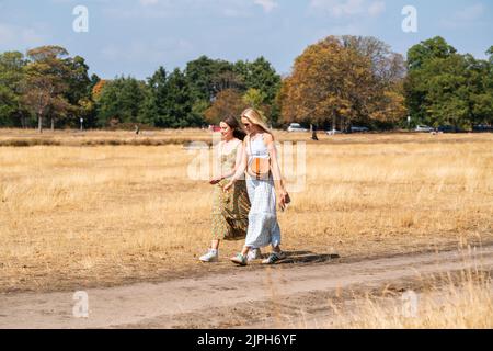 Wimbledon Londres, Royaume-Uni. 18 août 2022 . Deux femmes bénéficiant du soleil de l'après-midi sur un Wimbledon Common, dans le sud-ouest de Londres, une sécheresse a été déclarée par l'agence britannique pour l'environnement et Thames Water a annoncé une interdiction de l'hosépipe affectant 10 millions de clients dans le sud de l'Angleterre . Credit. amer ghazzal/Alamy Live News Banque D'Images