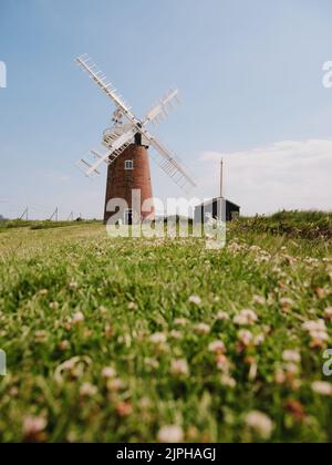 Horsey Windpump (1912) moulin à vent de drainage typique appartenant à la National Trust à Horsey on Horsey Mere, Norfolk Broads Angleterre. Banque D'Images