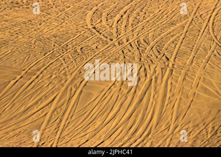 Pistes pour véhicules tout-terrain dans les dunes de sable, zone de loisirs nationale des dunes de l'Oregon, forêt nationale de Siuslaw, Oregon Banque D'Images