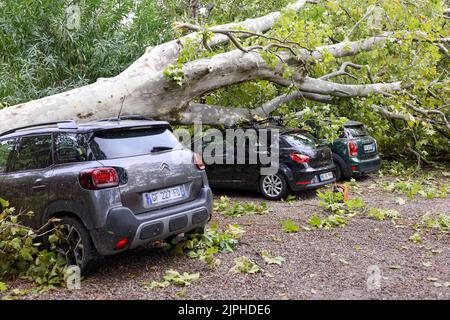 La Corse a été frappée par une tempête très violente qui a fait au moins 5 morts, douze blessés et beaucoup de dégâts matériels ce jeudi matin. Une fille de 13 ans est décédée après la chute d'un arbre dans un camping. Une femme de 72 ans est morte après que le toit d'une cabane en paille est tombé sur son véhicule. Plus au nord de l'île, un homme de 46 ans a également perdu la vie après la chute d'un arbre sur un bungalow à Calvi. Deux autres personnes sont mortes, un pêcheur et une femme qui faisait du kayak. Corse, France sur 18 août 2022. Photo par Shootpix/ABACAPRESS.COM crédit: Abaca Press/Alay Live News Banque D'Images