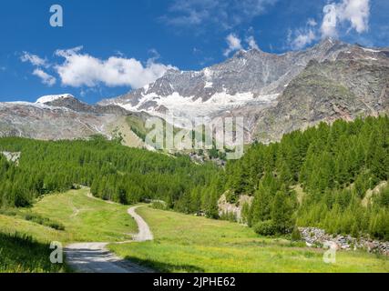 Les pics Alphubel, Taschhorn Dom et Lenzspitze au-dessus des frais SAS. Banque D'Images