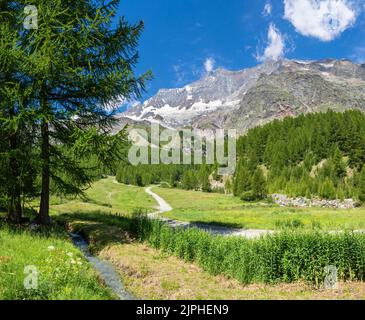 Les pics Alphubel, Taschhorn, Dom et Lenzspitze au-dessus des frais SAS. Banque D'Images