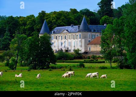 France, cher (18), sens-Beaujeu, château de Buranlure // France, cher (18), sens-Beaujeu, château de Buranlure Banque D'Images