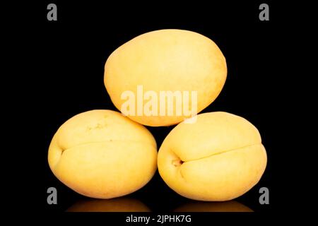 Trois abricots jaune vif juteux à l'ananas, macro, isolés sur fond noir. Banque D'Images