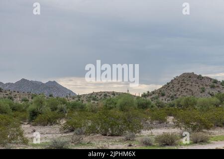 Vue panoramique sur le sud de l'Arizona en début de matinée sous un spectaculaire ciel monsoonal Banque D'Images