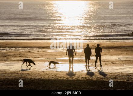 Trois amis marchant leurs chiens au coucher du soleil près de la mer à Croyde Bay, en Angleterre Banque D'Images