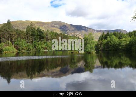 Glencoe Lochan est situé juste au nord du village de Glencoe dans les Highlands écossais. Il a été planté en 1890s par Donald Alexander Smith. Banque D'Images