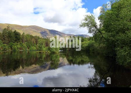 Glencoe Lochan est situé juste au nord du village de Glencoe dans les Highlands écossais. Il a été planté en 1890s par Donald Alexander Smith. Banque D'Images