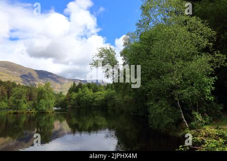 Glencoe Lochan est situé juste au nord du village de Glencoe dans les Highlands écossais. Il a été planté en 1890s par Donald Alexander Smith. Banque D'Images