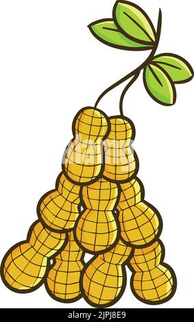 Pile d'arachides isolées sur fond blanc Illustration de Vecteur