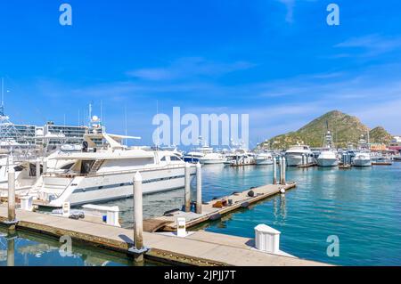 Mexique, marina et yacht club à Cabo San Lucas, Los Cabos, point de départ pour El Arco et les plages. Banque D'Images