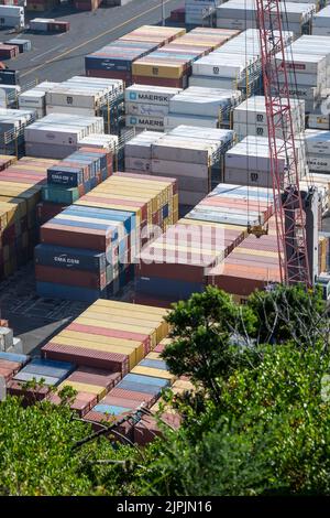 Conteneurs empilés au port de Napier, Hawkes Bay, Île du Nord, Nouvelle-Zélande Banque D'Images