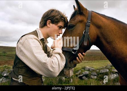 JEREMY IRVINE, cheval de guerre, 2011 Banque D'Images