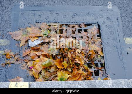 Londres, Royaume-Uni. Les feuilles couvrent et bloquent partiellement un drain sur le côté d'une route après une forte pluie balayée à travers la capitale. Banque D'Images