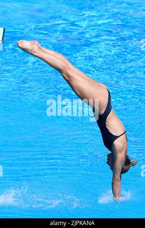 Roma, Italie. 16th août 2022. BERTOCCHI Elena ITA Dive WOMEN - 1M SPRINGBOARD - FINAL lors des Championnats d'athlétisme européens, Roma, Italie, au Stadio del Nuoto, Roma 16 août 2022 (photo d'AllShotLive/Sipa USA) Credit: SIPA USA/Alay Live News Banque D'Images