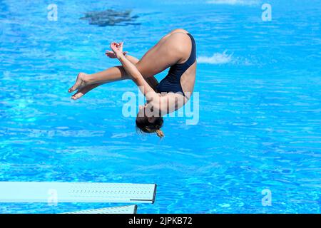 Roma, Italie. 16th août 2022. BERTOCCHI Elena ITA Dive WOMEN - 1M SPRINGBOARD - FINAL lors des Championnats d'athlétisme européens, Roma, Italie, au Stadio del Nuoto, Roma 16 août 2022 (photo d'AllShotLive/Sipa USA) Credit: SIPA USA/Alay Live News Banque D'Images