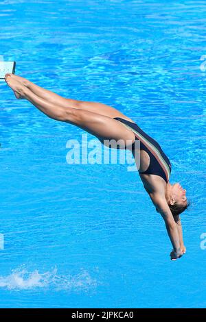 Roma, Italie. 16th août 2022. BERTOCCHI Elena ITA Dive WOMEN - 1M SPRINGBOARD - FINAL lors des Championnats d'athlétisme européens, Roma, Italie, au Stadio del Nuoto, Roma 16 août 2022 (photo d'AllShotLive/Sipa USA) Credit: SIPA USA/Alay Live News Banque D'Images