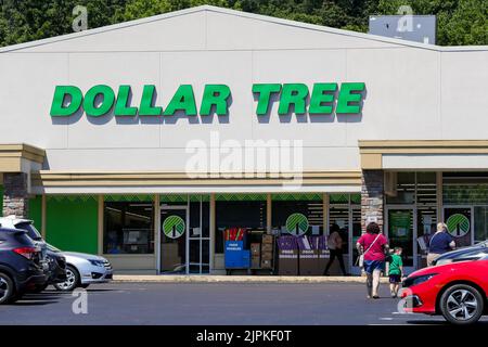 Bloomsburg, États-Unis. 18th août 2022. Vue extérieure d'un magasin Dollar Tree près de Bloomsburg. Crédit : SOPA Images Limited/Alamy Live News Banque D'Images