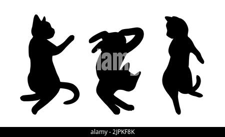 Le chat pose un jeu de caniche. Silhouettes de chats dans différentes poses. Illustration vectorielle mignonne Illustration de Vecteur