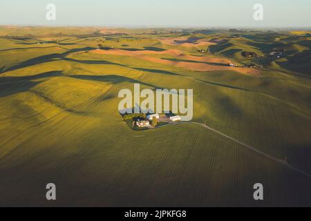 Une ferme d'en haut, Palouse, est de Washington Banque D'Images