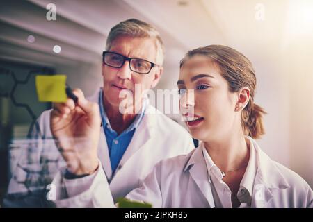 Deux scientifiques spécialisés travaillent ensemble pour résoudre des équations sur un mur de verre dans un laboratoire. Banque D'Images