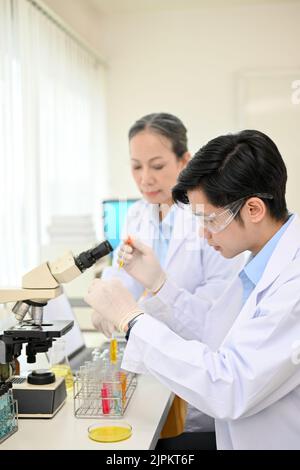 Jeune asiatique concentré scientifique ou chimiste travaillant dans le laboratoire, ajuster un nouvel échantillon de liquide dans un tube à essai avec son collègue. Banque D'Images