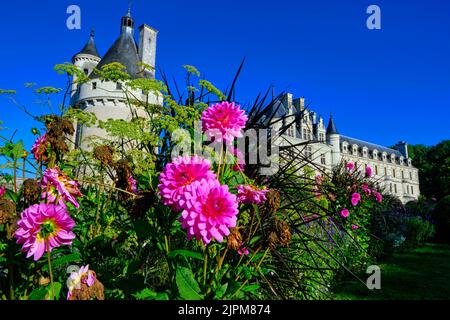 France, Indre et Loire, Chenonceaux, Château de Chenonceau, construit de 1513 à 1521 dans le style Renaissance, jardin Catherine de Médicis Banque D'Images